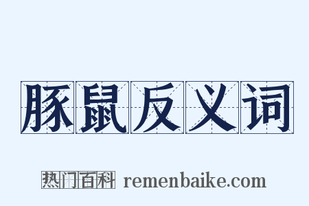 豚鼠反义词是什么意思的图片